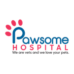 Home 39 Pawsome Hospital
